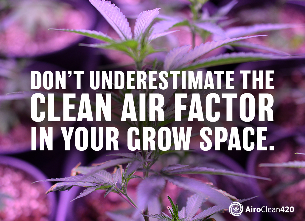 don't underestimate the clean air factor in your grow space